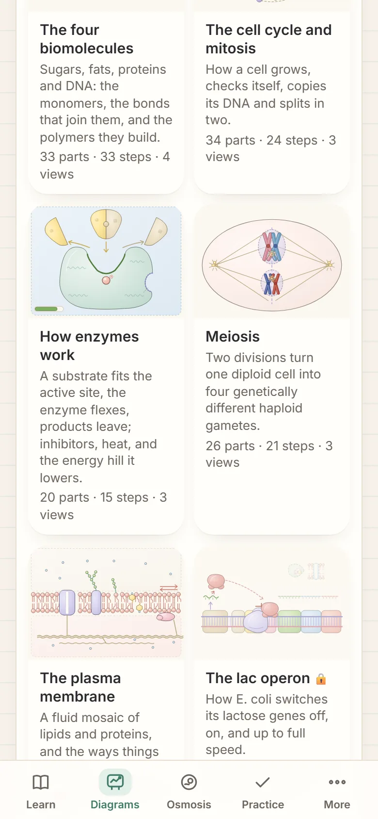 Biology Diagrams: enzymes, meiosis, the plasma membrane and more